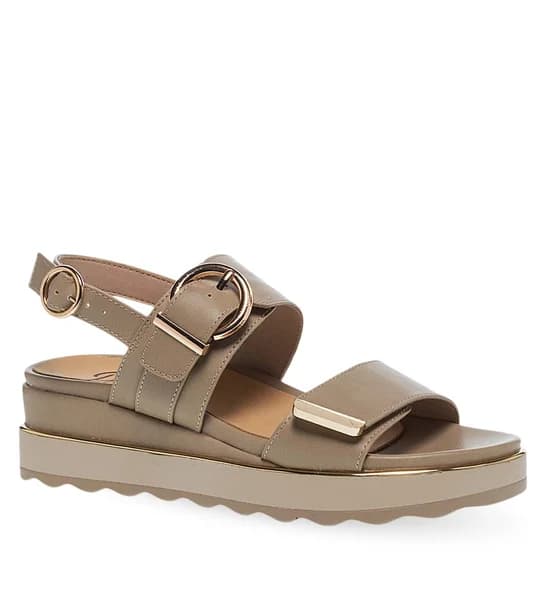 Taupe variant